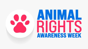 Disaster Relief Donations